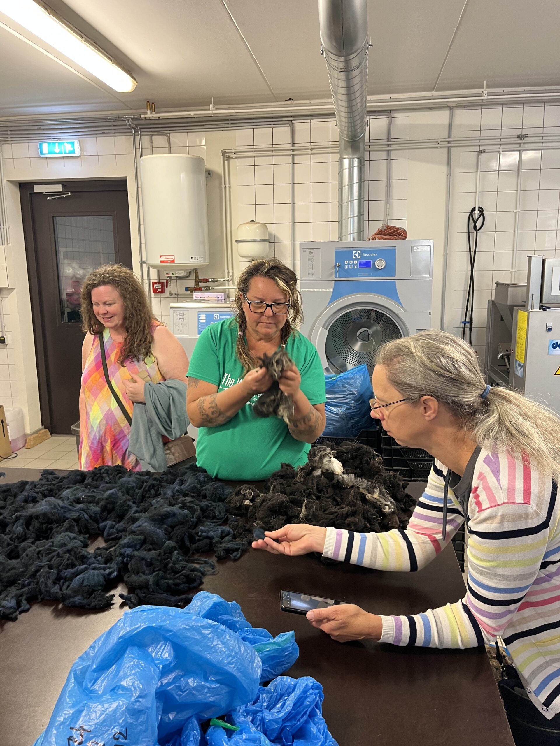 #283: A Fiber Artist Retreat - A Wool Study Tour of Estonian Mills, Farms, Crafters - double room - Image 23